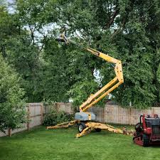 Lawn Grading and Leveling in West Livingston, TX