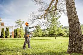 Best Tree Mulching  in West Livingston, TX