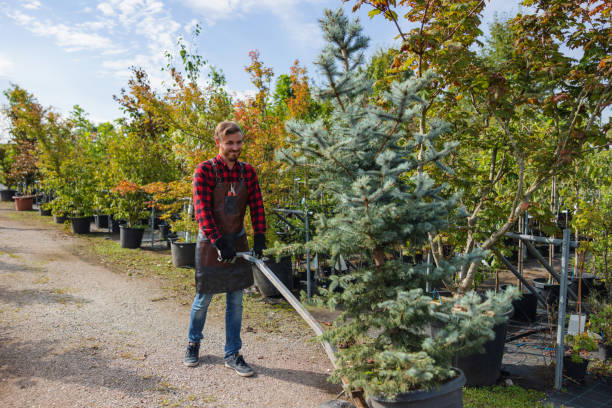 West Livingston, TX Tree Services Company